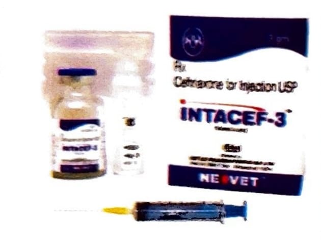 Intacef injection