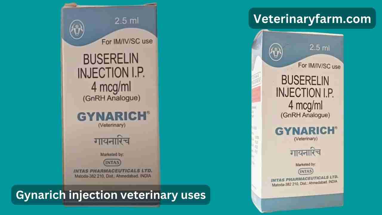 Gynarich injection use, price, dose, side effects, and composition Gynarich injection