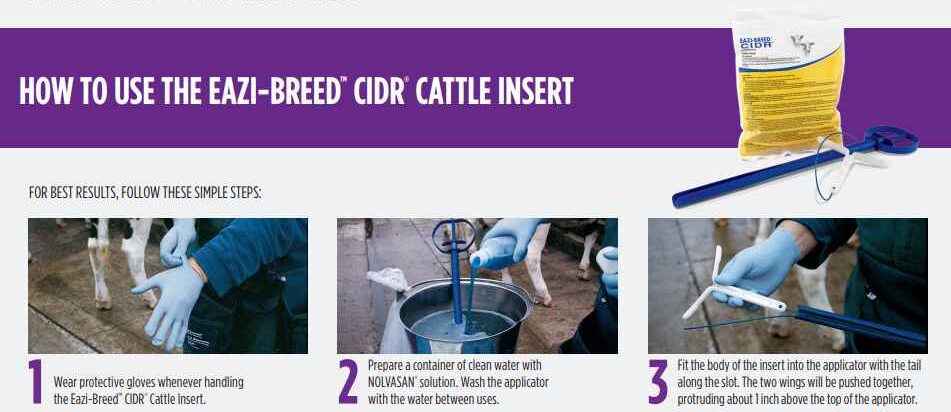 How to use Eazi Breed CIDR (3)