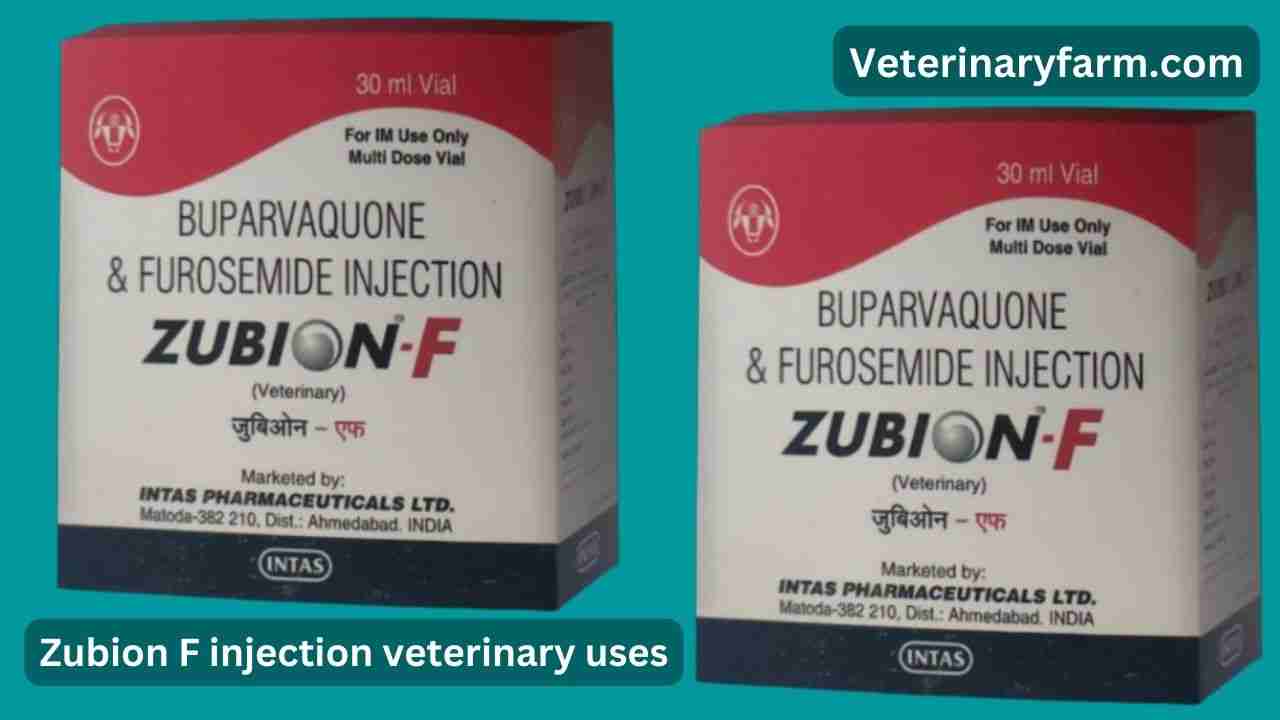 Zubion F injection use, price, dose, side effects, and composition Zubion F injection