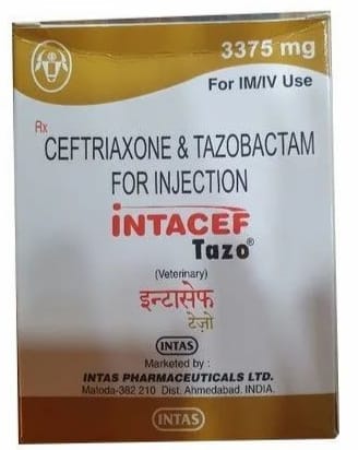 intacef tazo injection
