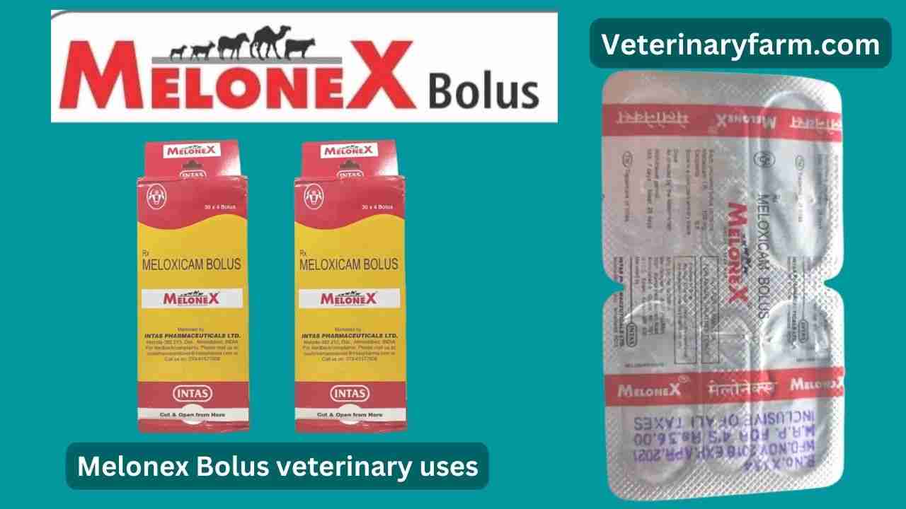 Melonex Bolus uses, price, dose, side effects, and composition melonex bolus use