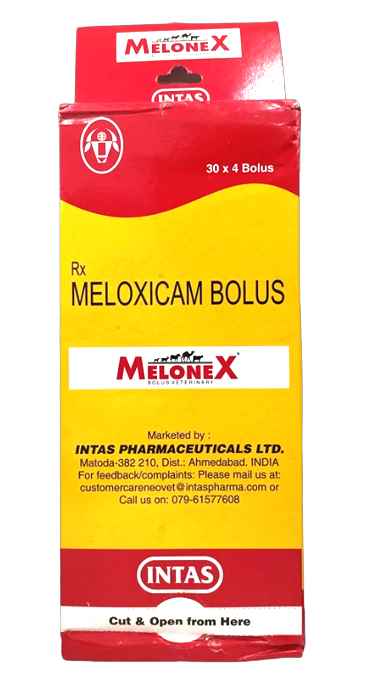 meloxicam bolus uses