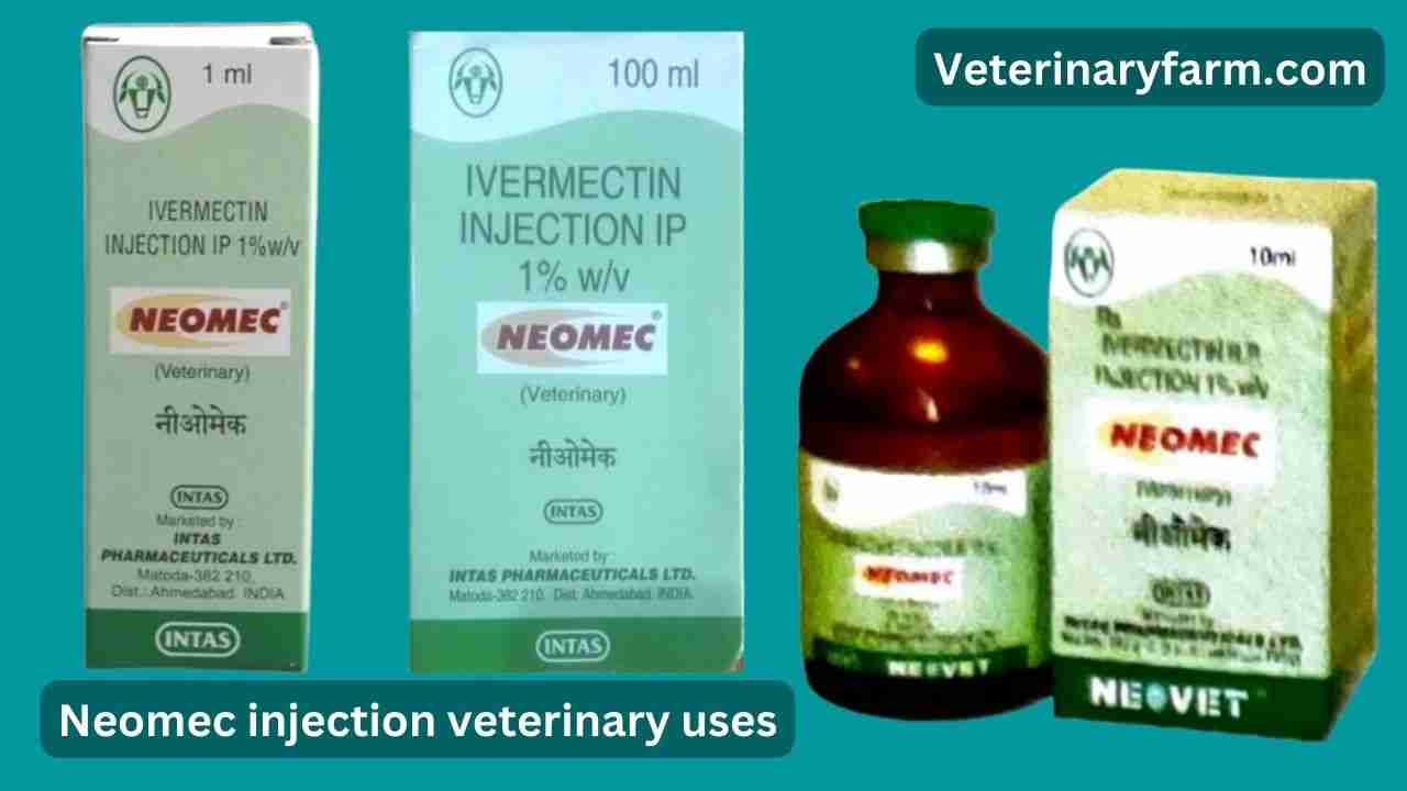 Neomec Injection use, price, dose, side effects, and composition neomec injection use