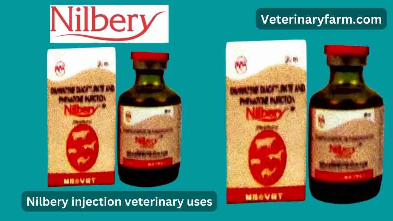 Nilbery Injection use, price, dose, side effects, and composition nilbery injection uses