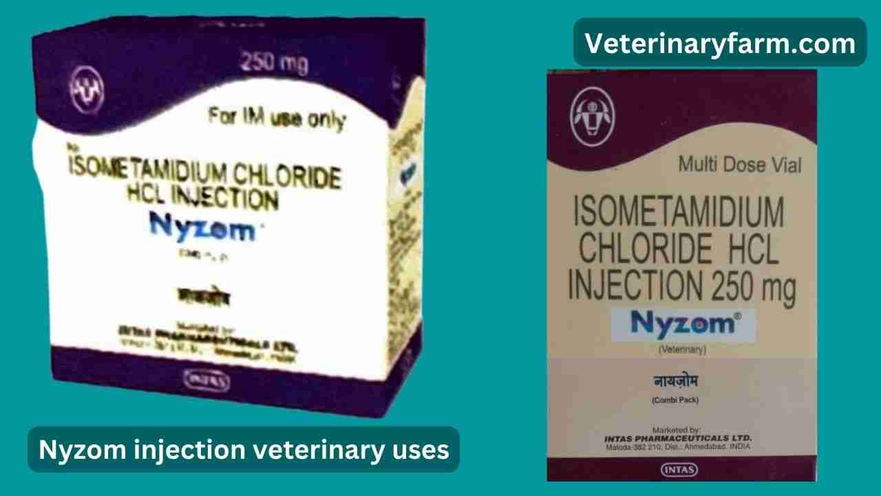 Nyzom injection use, price, dose, side effects, and composition nyzom injection use