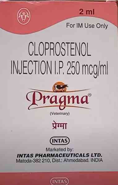pragma injection veterinary uses