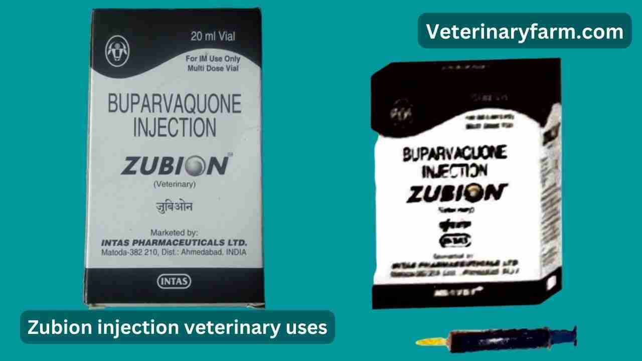 Zubion injection use, price, dose, side effects, and composition zubion injection