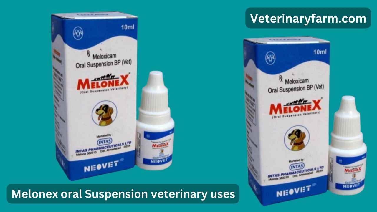 Melonex oral Suspension use, price, dose, side effects, and composition Melonex oral Suspension