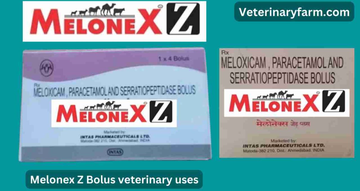 Melonex z Bolus use