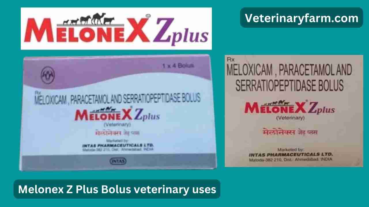 Melonex Z plus Bolus use, price, dose, side effects, and composition Melonex z plus Bolus use