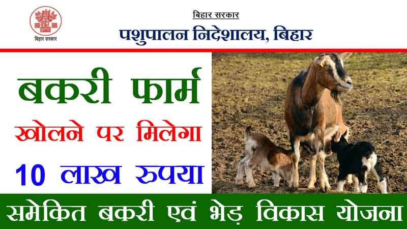 Goat Farm Scheme: घर में बकरी है तो 10,000 रुपये मिलेंगे, फटाफट करें आवेदन goat-farming-scheme-get-upto-10-lakh