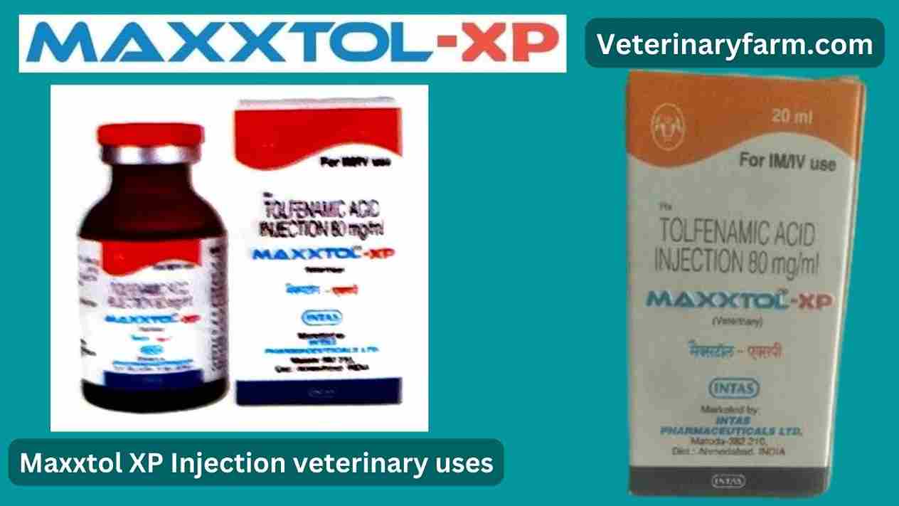 Maxxtol XP injection uses, price, dose, side effects, and composition maxxtol xp injection use