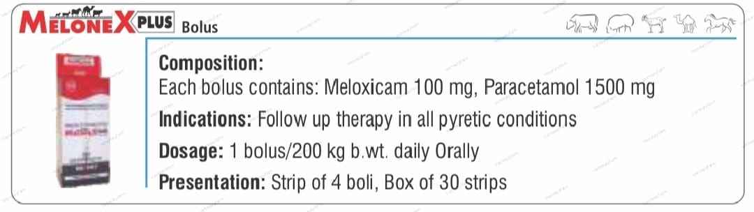 melonex plus bolus use veterinary