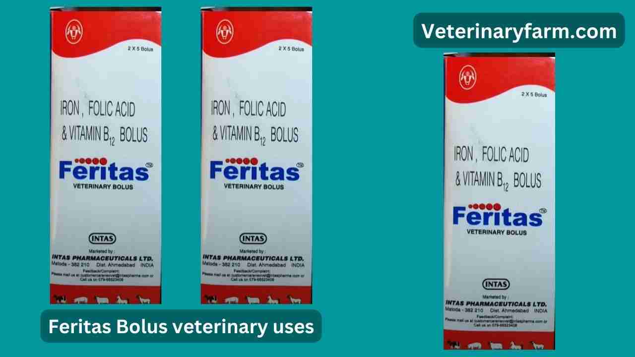 Feritas Bolus uses