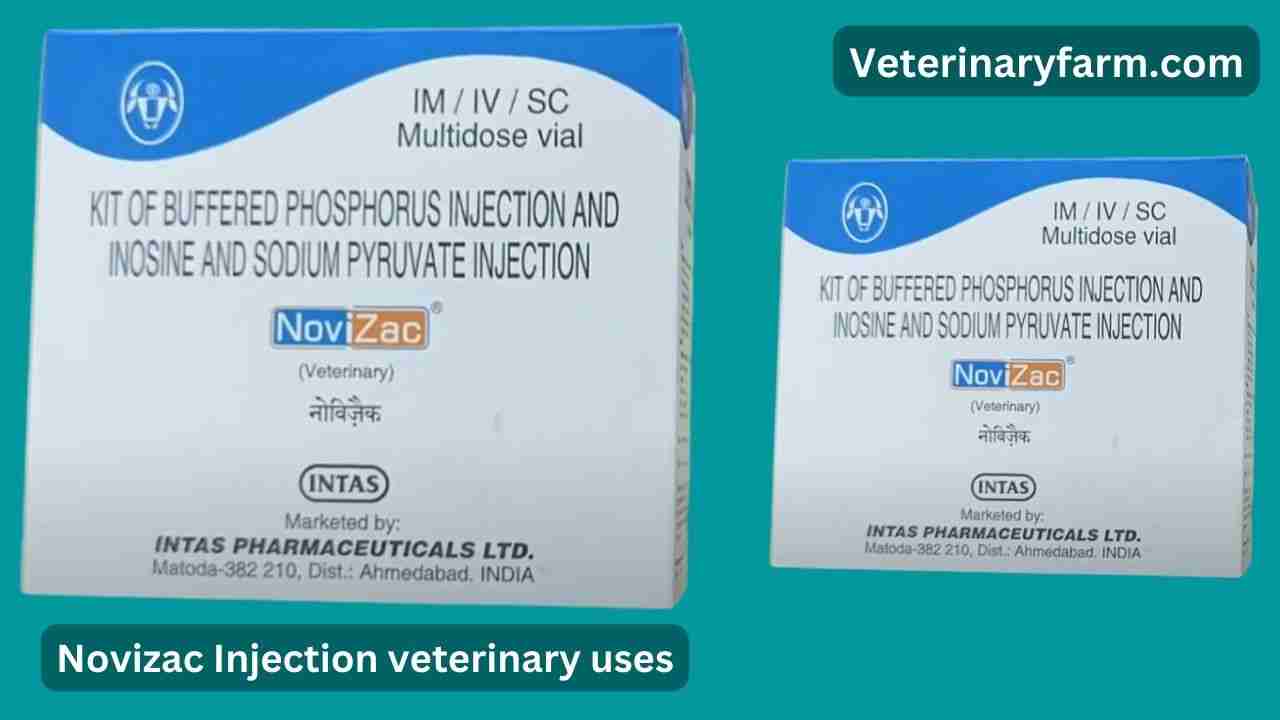 Novizac injection uses, price, dose, side effects, and composition Novizac injection uses