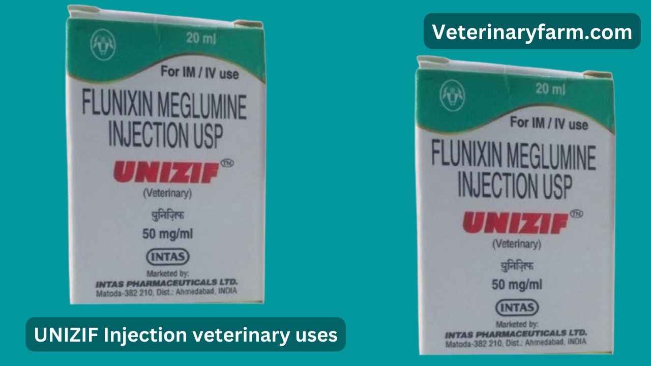 UNIZIF injection uses, price, dose, side effects, and composition Unizif injection uses
