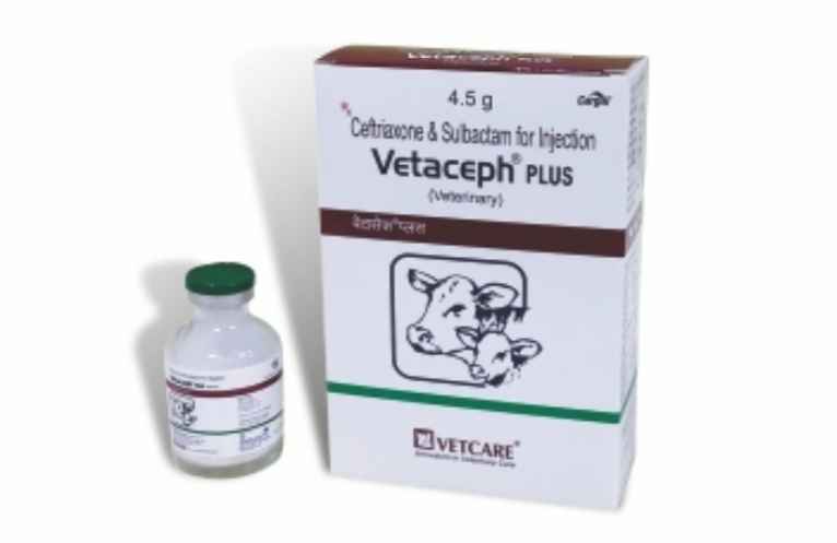 Vetaceph Plus 4.5 gm