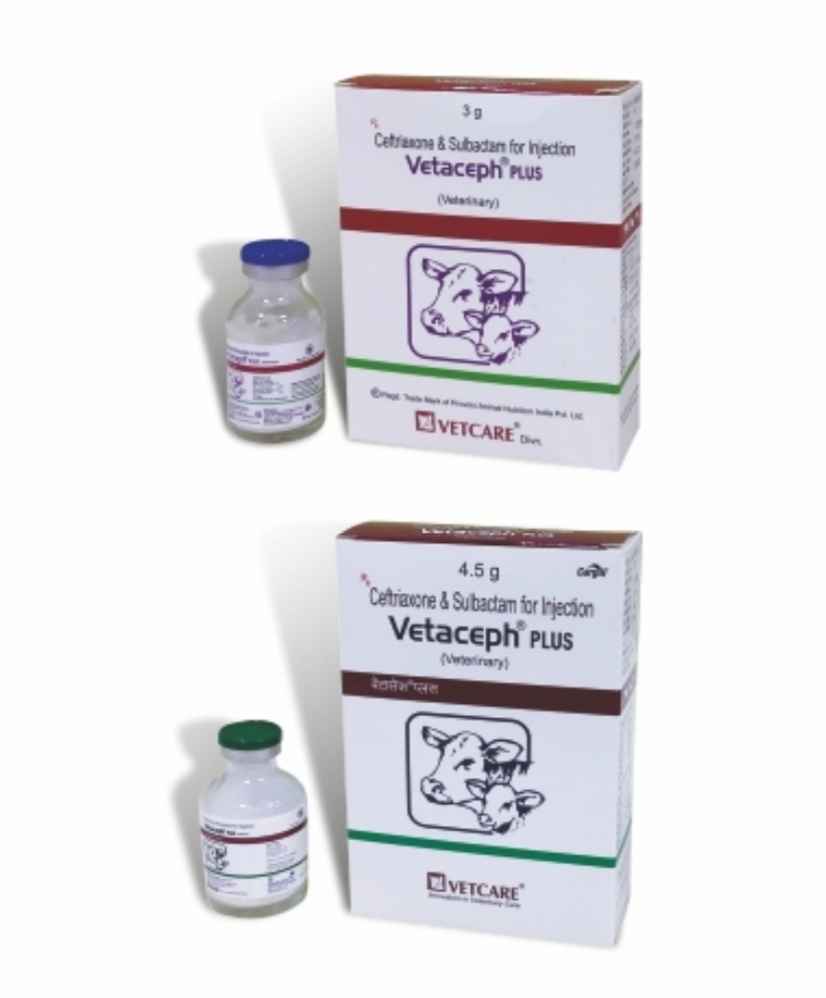 Vetaceph Plus injection uses, price, dose, side effects, and composition Vetaceph Plus injection