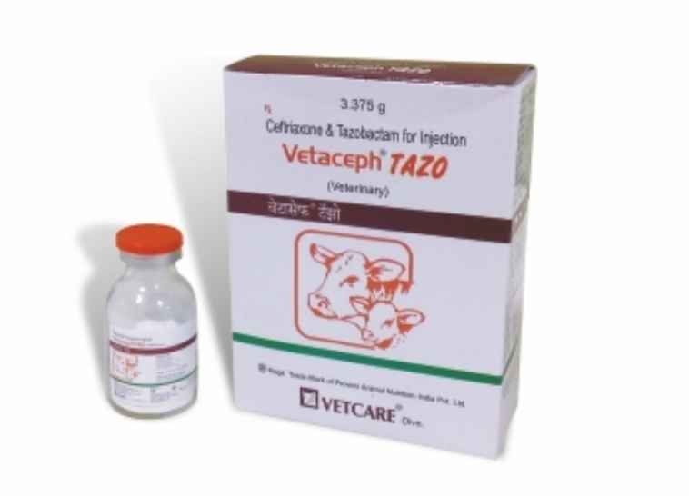 Vetaceph Tazo 3.375 gm