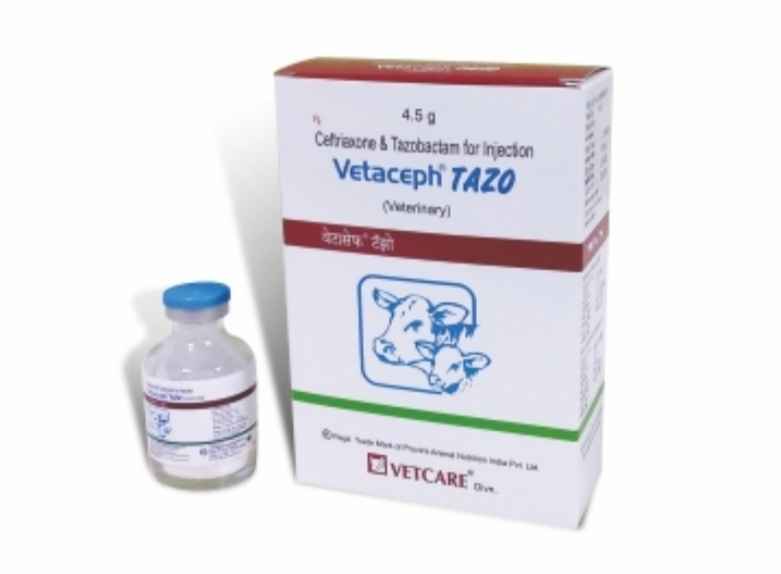 Vetaceph Tazo 4.5 gm