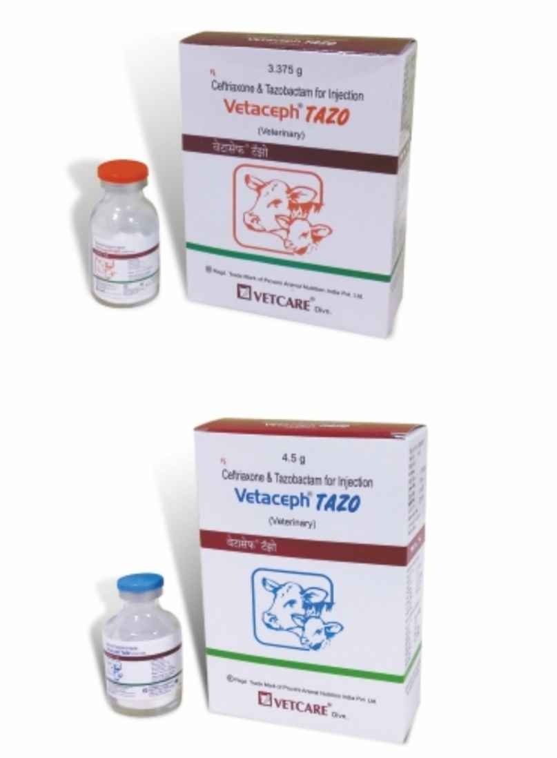 Vetaceph Tazo injection uses, price, dose, side effects, and composition Vetaceph Tazo injection