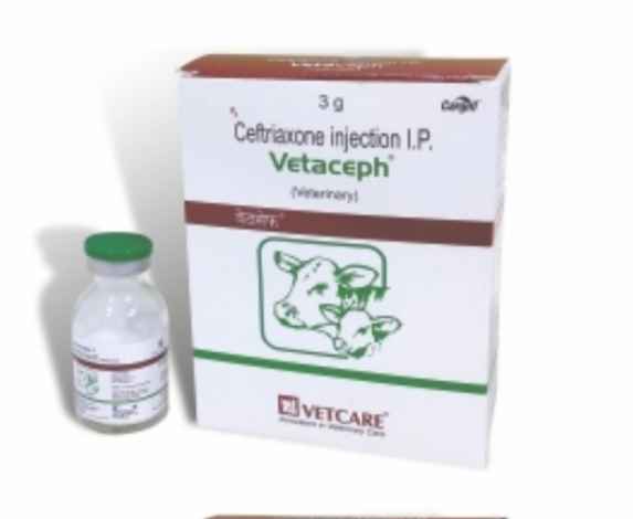 Vetaceph injection 3gm
