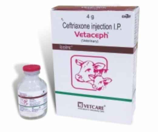 Vetaceph injection 4gm