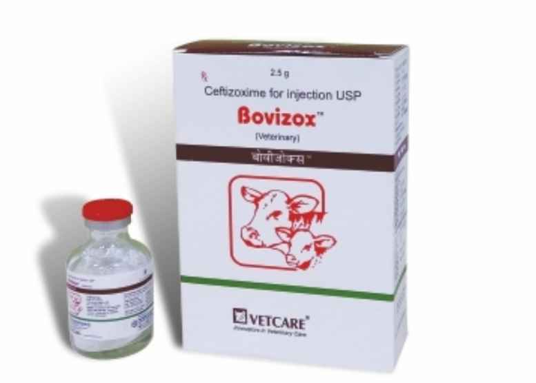 Bovizox injection