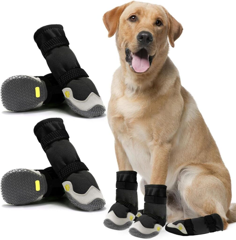 Dog Boots

