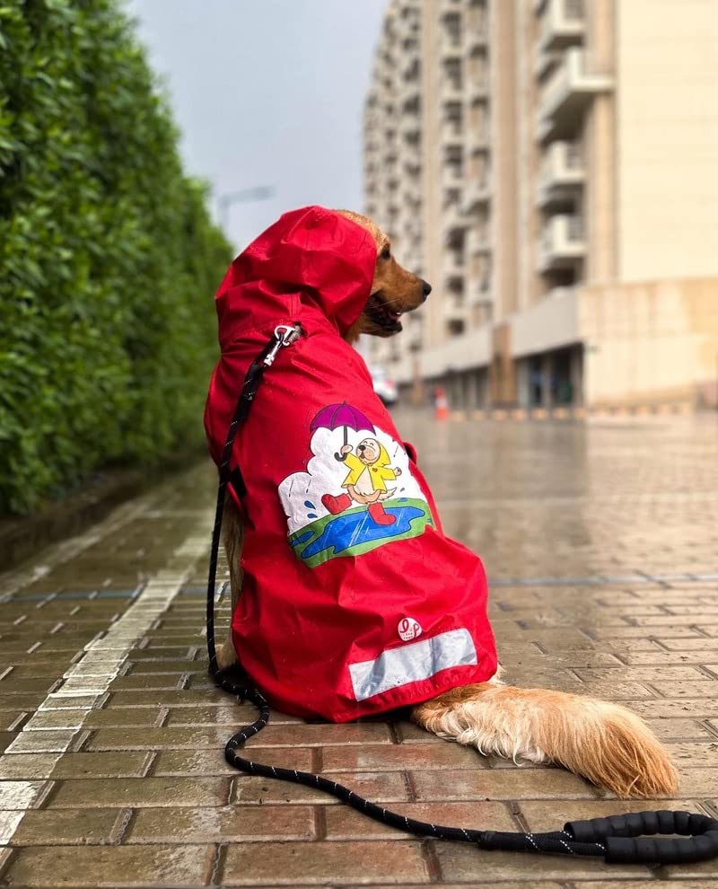Dog Raincoats